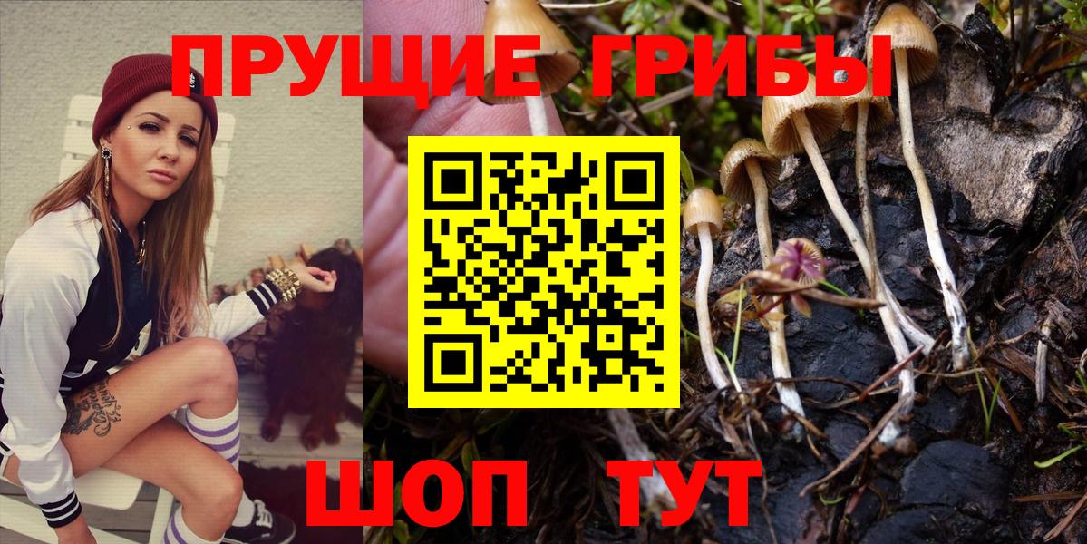 Дубна  Псилоцибиновые грибы MAGIC MUSHROOMS  Вход с VPN 